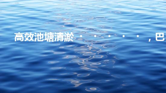高效池塘清淤，巴洛仕設(shè)備助您一臂之力